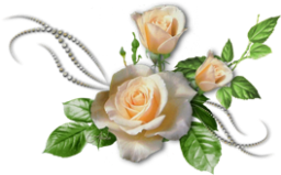 Image205 