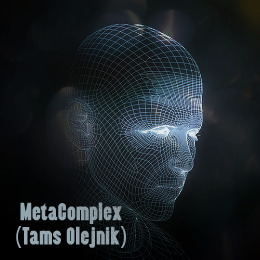 MetaComplex (Tamás Olejnik)