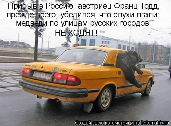 Котоматрица: Прибыв в Россию, австриец Франц Тодд,  прежде всего, убедился, что слухи лгали: медведи по улицам русских городов НЕ ХОДЯТ!